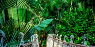 Fulbright financiará programa de pesquisas na Amazônia