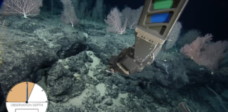 Pesquisadores encontram “estrada de tijolos amarelos” no fundo do Pacífico