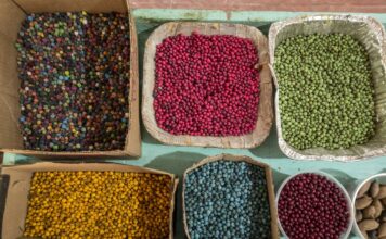 Ciclo de Formação: Uma Amazônia para o Futuro – BIOECONOMIA E EMPREENDEDORISMO SUSTENTÁVEL