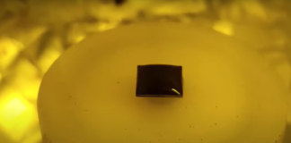 Uso de melanina em dispositivos eletrônicos