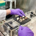 Como engenheiros e desenvolvedores de medicamentos estão trabalhando para mudar o cálculo mortal do câncer infantil