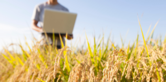 FIELDPRO: Inteligência artificial (IA) aplicada na previsão hiperlocal do tempo na agricultura