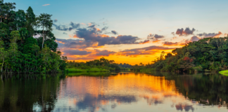 Apresentação do Pré-Estudo de Viabilidade para o Instituto de Tecnologia da Amazônia (AmIT)