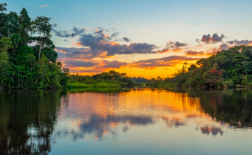 Apresentação do Pré-Estudo de Viabilidade para o Instituto de Tecnologia da Amazônia (AmIT)