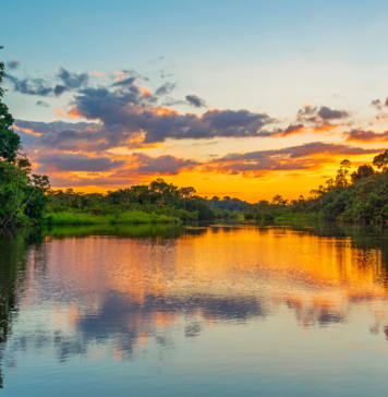 Apresentação do Pré-Estudo de Viabilidade para o Instituto de Tecnologia da Amazônia (AmIT)