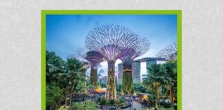 Devemos todos viver em ‘cidades de 15 minutos’?