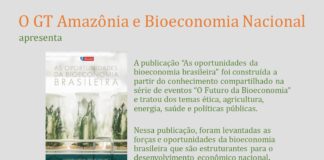 Lançamento da publicação “As oportunidades da bioeconomia brasileira” do GT Amazônia e Bioeconomia Nacional
