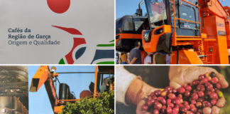 Indicação Geográfica – Região de Garça – Café da Espécie Coffe Arábica – Certificação de Procedência