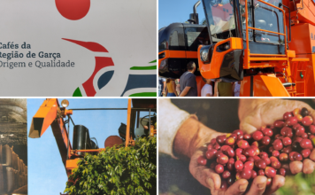 Indicação Geográfica – Região de Garça – Café da Espécie Coffe Arábica – Certificação de Procedência