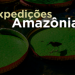 Expedições Amazônia 2023