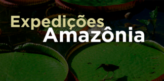 Expedições Amazônia 2023