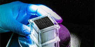 Aparelho torna água do mar potável usando apenas energia solar