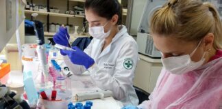 Estudo mostra que pele artificial bioimpressa pode ser usada em testes de cosméticos e medicamentos