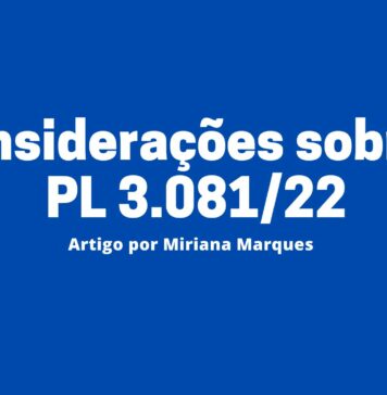 Por Miriana Marques – Considerações sobre a PL 3.081/22