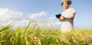 Qual a importância da tecnologia no agronegócio brasileiro?