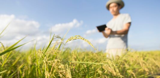 Qual a importância da tecnologia no agronegócio brasileiro?