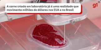 Carne de laboratório é aposta do agro, tem Brasil na vanguarda, mas não vai estar no próximo churrasco