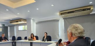 Presidente do IE participa de evento sobre a Estruturação do Plano Estadual de Energia 2050