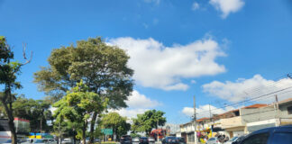 MATERIAL TÉCNICO – Faixa Azul e Faixa Azul Segregada – Balanço da experiência em vias do Município de São Paulo