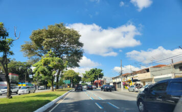 Faixa Azul e Faixa Azul Segregada – Balanço da experiência em vias do Município de São Paulo