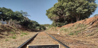 Manifesto do Instituto de Engenharia sobre a falta de continuidade do projeto de recuperação da Malha Oeste