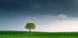 Semana do Meio Ambiente