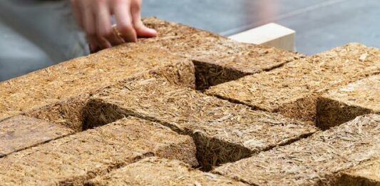 A proposta para criar concreto a partir da cana-de-açúcar