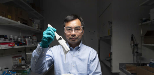 Para ajudar a resfriar o planeta quente, um casaco branco