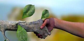 MATERIAL TÉCNICO – A indústria química e a produção limpa