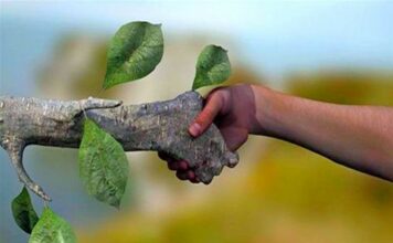 A Indústria Química e a Produção Limpa