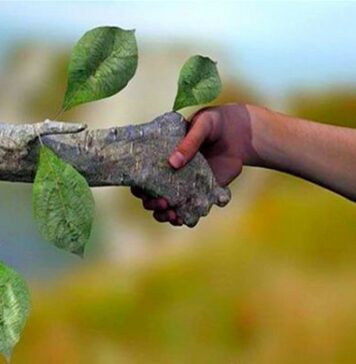 MATERIAL TÉCNICO – A indústria química e a produção limpa