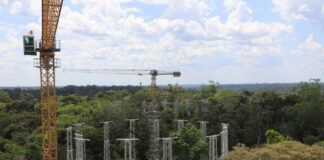 Megaexperimento na Amazônia medirá quanto carbono a floresta absorve