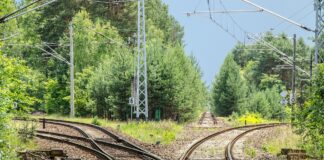 Por Reginaldo A. de Paiva – Os donos da ferrovias