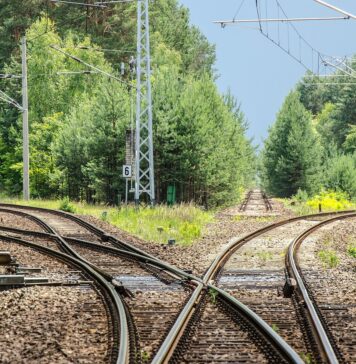 Por Reginaldo A. de Paiva – Os donos da ferrovias