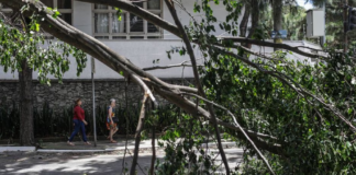 Estadão – O que fazer com a rede elétrica de SP para evitar apagões durante os temporais?