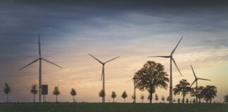 Dia Mundial da Engenharia para o desenvolvimento sustentável