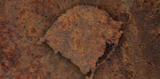 Por José Eduardo Cavalcanti – As cheias em Porto Alegre em Maio de 2024