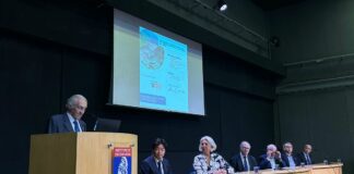 Confira o pós-evento: “Prevenção de desastres naturais: Soluções em Geotecnia e Hidrologia no Japão”