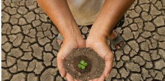 Brasil: centro global soluções climáticas