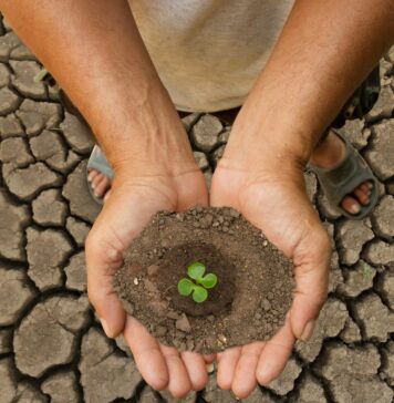 Brasil: centro global soluções climáticas