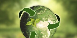 Sustentabilidade: Por que adotar ações dessa causa?