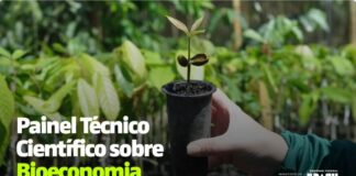 GT Bioeconomia Nacional apresenta nesta segunda e terça – 7 e 8 – estudo no MMA. Acompanhe