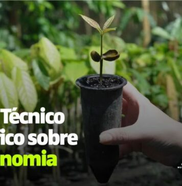 GT Bioeconomia Nacional apresenta nesta segunda e terça – 7 e 8 – estudo no MMA. Acompanhe