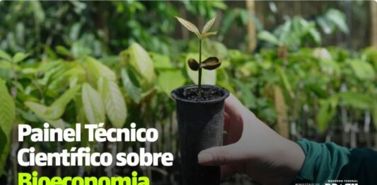 GT Bioeconomia Nacional apresenta nesta segunda e terça – 7 e 8 – estudo no MMA. Acompanhe
