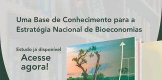 Acesse já o estudo “Uma Base de Conhecimento para a Estratégia Nacional de Bioeconomias”