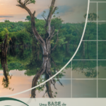 Por Eduardo Lafraia – O Brasil e a bioeconomia para além da COP-30