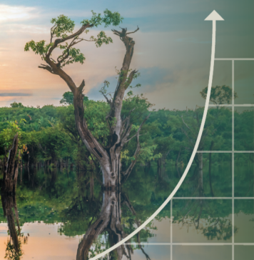 Por Eduardo Lafraia – O Brasil e a bioeconomia para além da COP-30