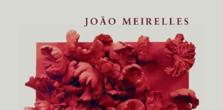 Lançamento do Livro “Frans Krajcberg: A Natureza Como Cultura”