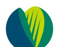 Engenheira e pesquisadora brasileira recebe prêmio internacional na área de agricultura e segurança alimentar