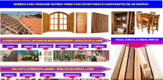 A Crise da madeira tradicional e a oportunidade no bambu: uma reflexão técnica, social e institucional, por Roberto Massaru Watanabe